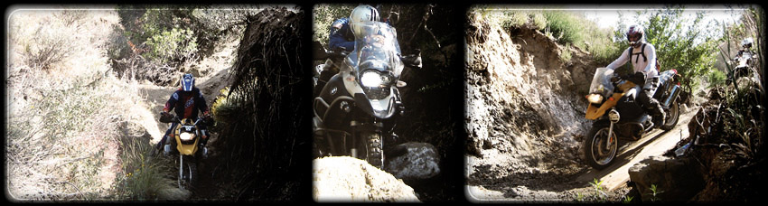 Riders in the Pit