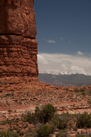 Copyright Steven Koch - click to enlarge