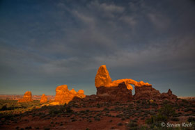 Copyright Steven Koch - click to enlarge
