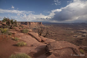 Copyright Steven Koch - click to enlarge