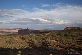 Copyright Steven Koch - click to enlarge