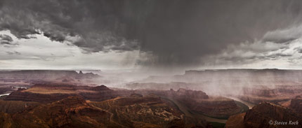 Copyright Steven Koch - click to enlarge